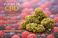 Fleurs CBD (Berry)
